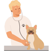 Chien de médecine vétérinaire