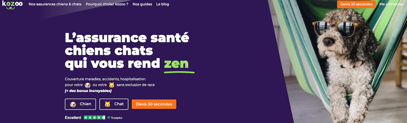 Kozoo asurance pour chien