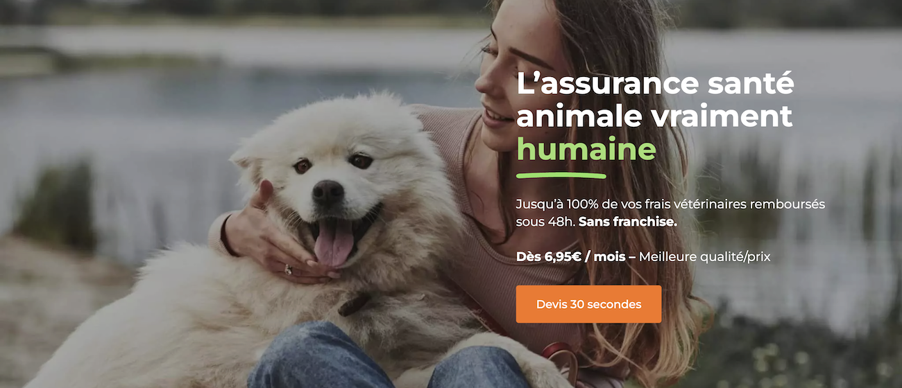 Kozoo asurance pour chien 2025